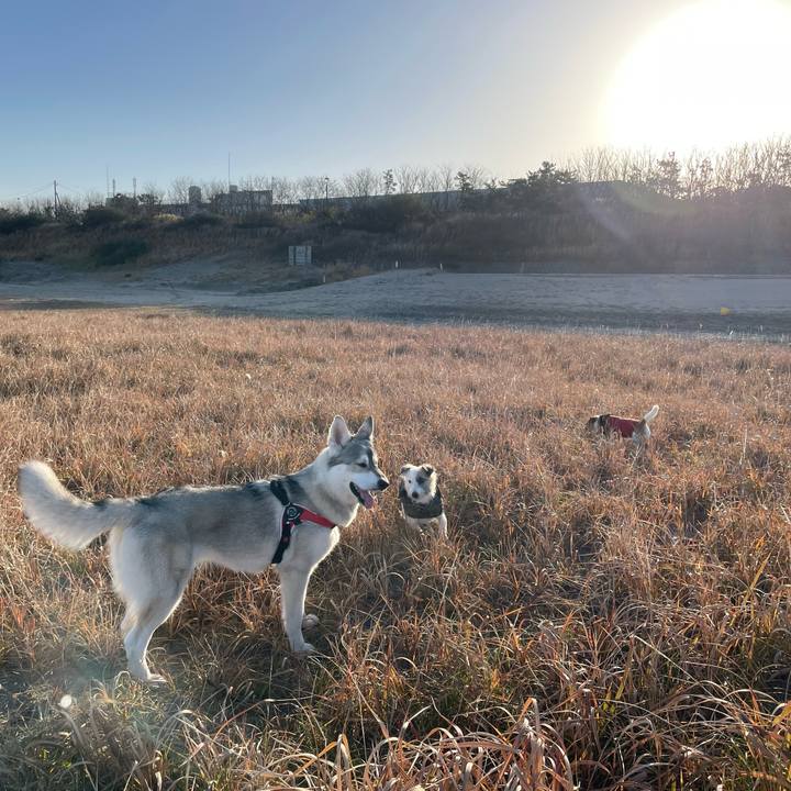 05f09e28 dc4f 4793 b4d5 90b9fb16c0f0 1669594467363