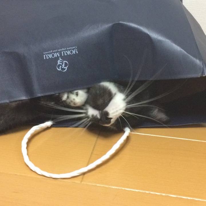 05f10e95 e761 4530 b7cc 85eb79a0b629 1516247904473