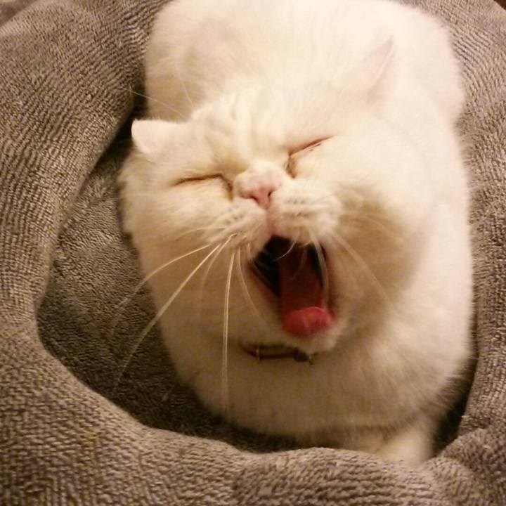 05f11955 38af 4ec4 a3ad 0d53b5845401 1521462223996