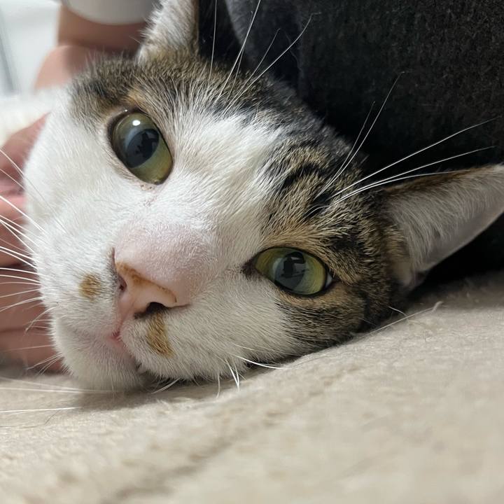 05f13158 3bf1 4165 843e 250ed6ee14c4 1774055963424