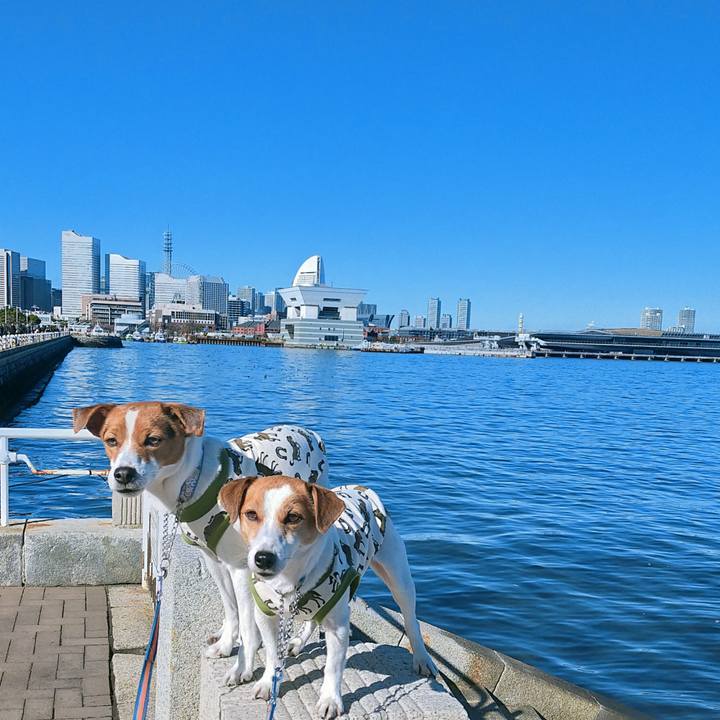 05f17fdc ae60 4192 82a7 02e9a32b0d77 1767423444664