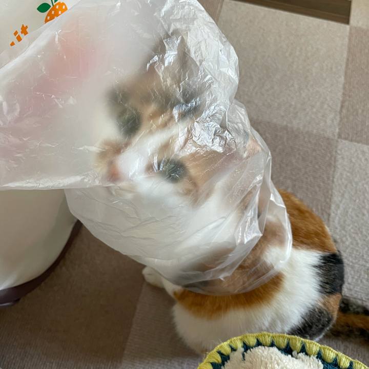 05f1bac5 8351 4792 ac80 bd2c71ac9469 1617143523881