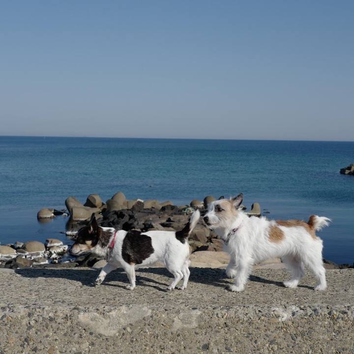 05f1f017 c687 4750 b368 9bafa0529519 1555562328719