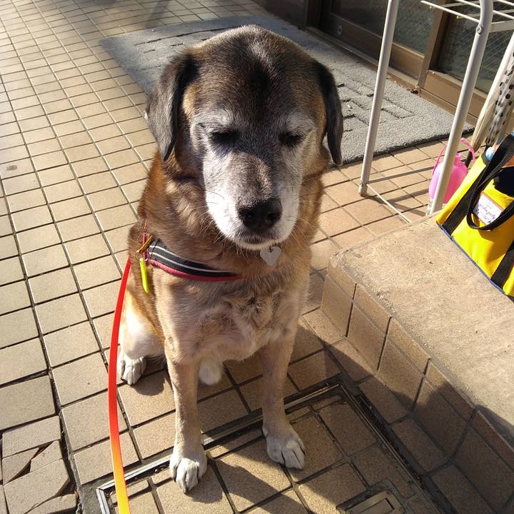 05f238f9 305f 489f ad1d 7b231936bf56 1548810037672