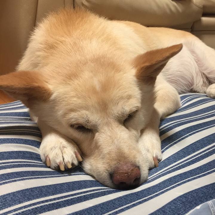 05f24807 962a 4d2b 98eb f5a6328a907b 1531483811918