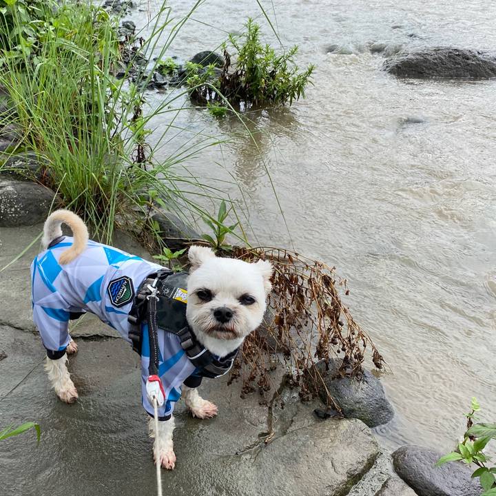 05f24ac3 c706 4c81 9fd6 d2541f39a023 1595660341528