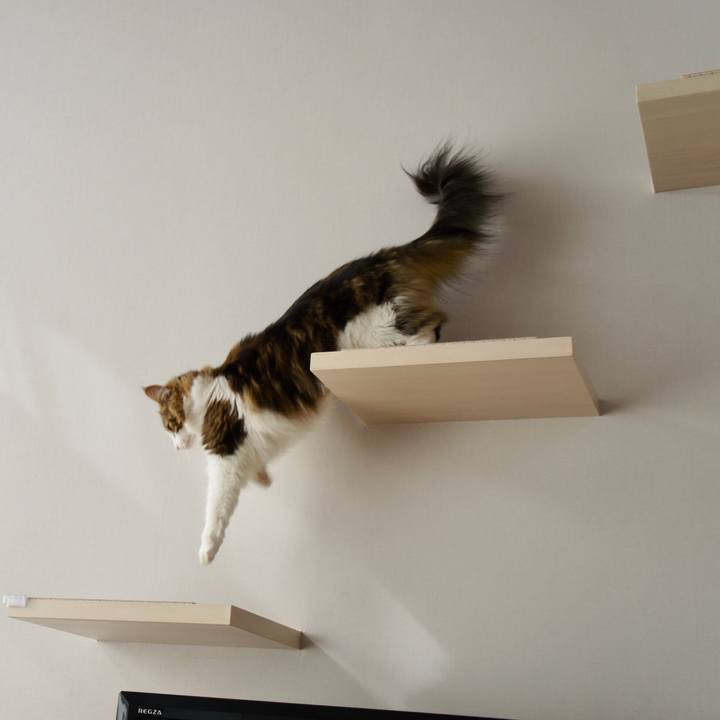 05f28115 58d4 45dd 9ce0 e707e382fd6e 1534927523366