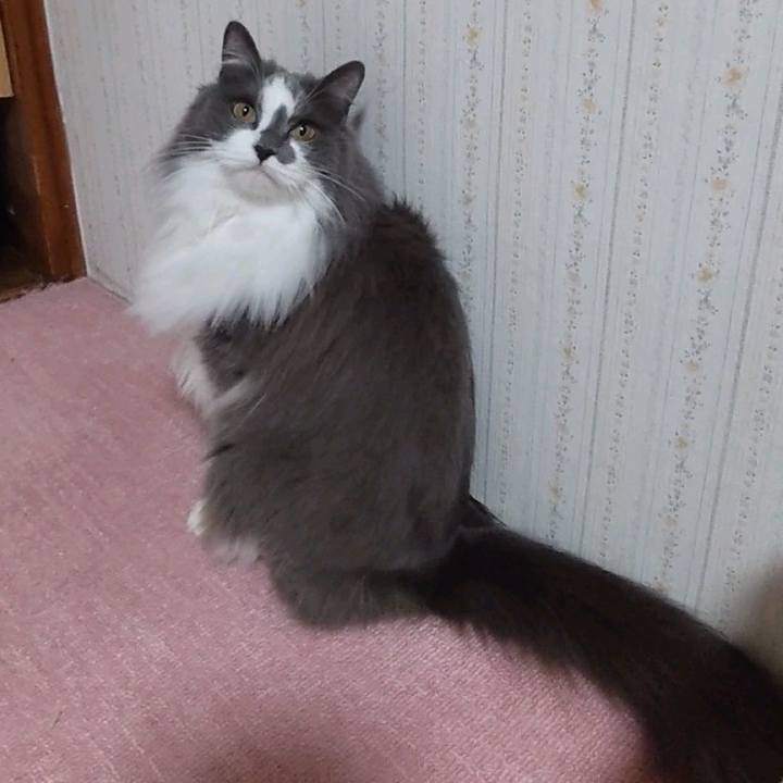 05f2f664 c0da 462b 9e92 ce1f9bd3e88c 1649069148011