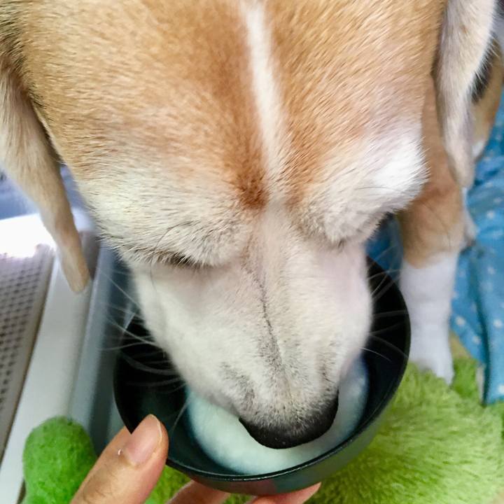 05f311a7 7291 4865 9f5c 5b86fc0d19ee 1535605442475