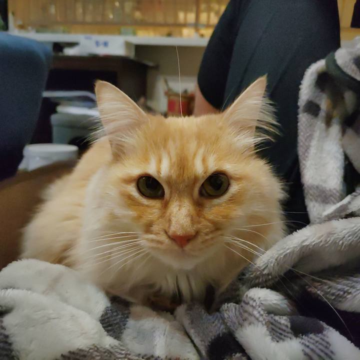 05f33f3e e2e8 4c73 ab2d ebdd7d970613 1705584361705