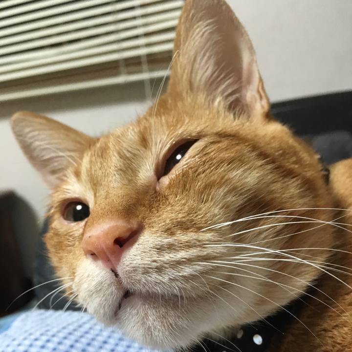 05f38c37 8e9b 49ac 83e2 25a2e98f275c 1539171347230