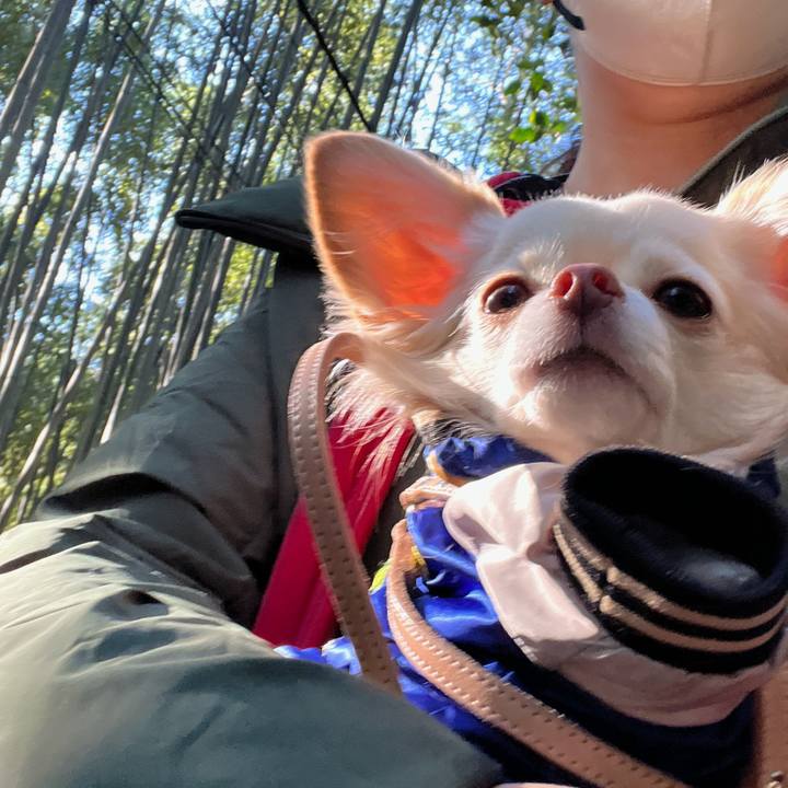 05f3986a 90a3 4461 9c75 3a41066fc3bf 1672563839589