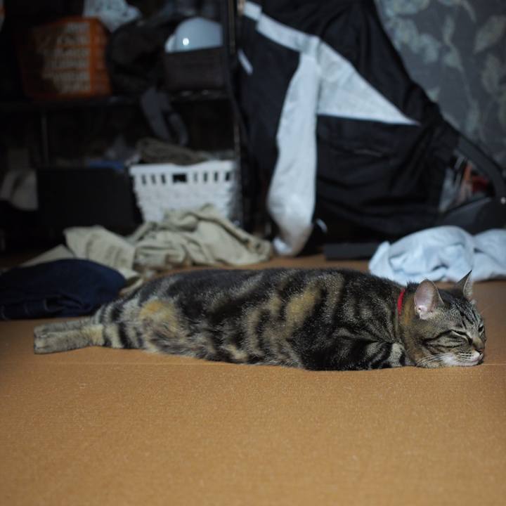 05f3b72e 0422 4afb 80cf 2b24cda0ba7b 1591933505606