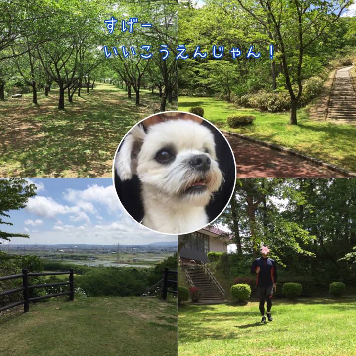 05f3d5e6 c565 40fe a77d f3c126d1d5f4 1527416762727