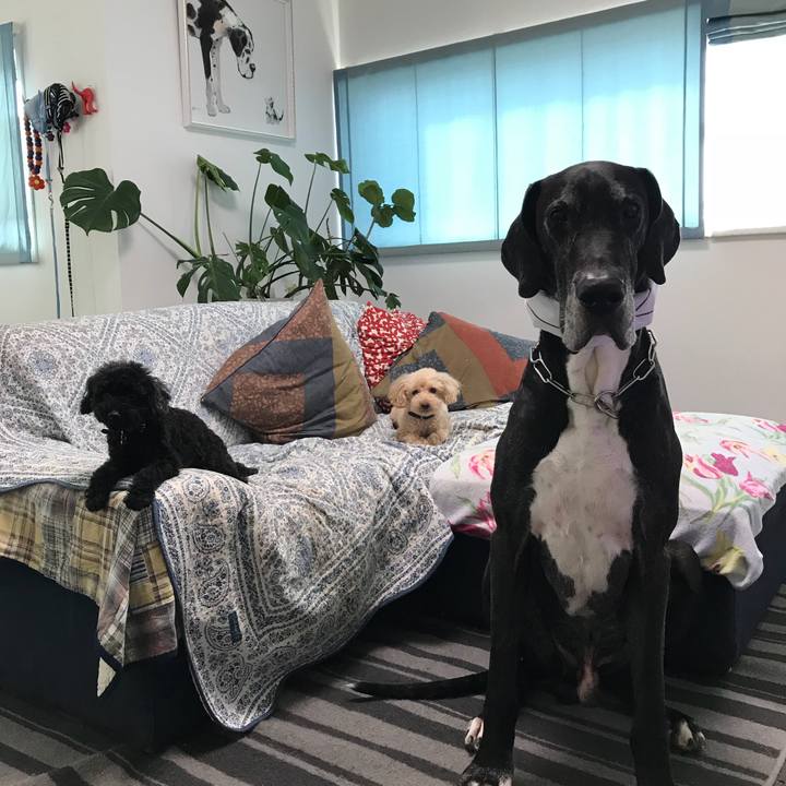 05f3d75f 493a 46e9 bfbf 860a3d60037c 1532988635831