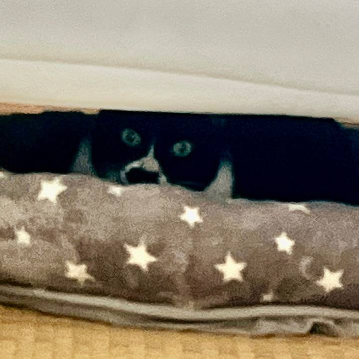 05f3f48f c308 4914 9804 0e7d38fb1d80 1654091976104