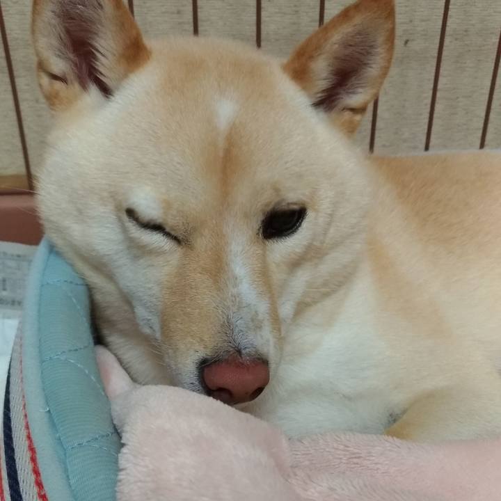 05f42a35 c8cb 47cc 8d3f 623dcfbe793f 1575028251723