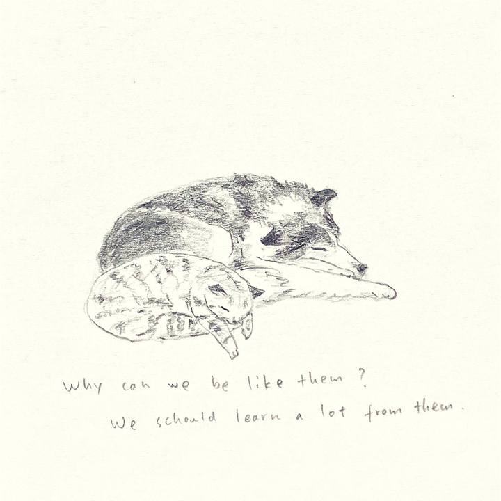 05f42fe0 67c0 44d7 a5c0 f098b05ef7ab 1653968587739