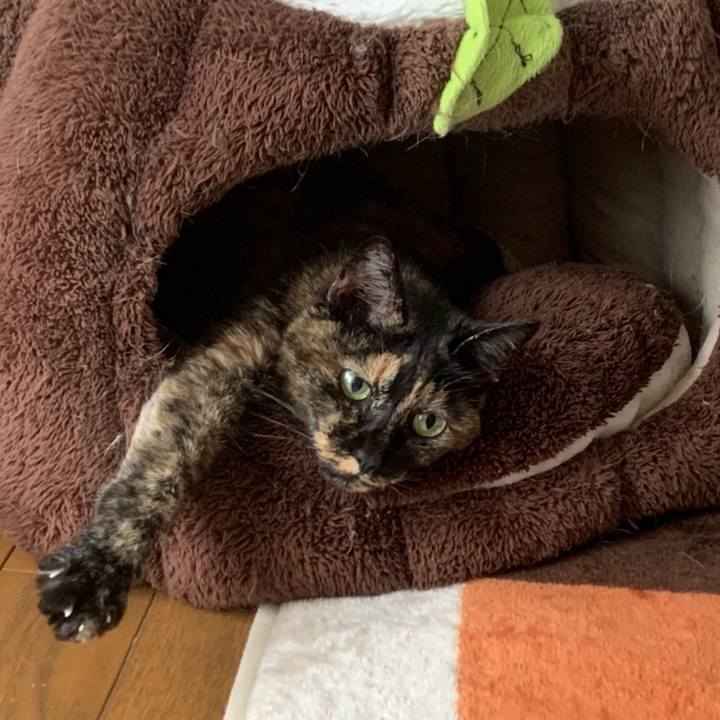 05f448a8 abf5 4e3c bb0b 0bad99c1bc40 1631666632057