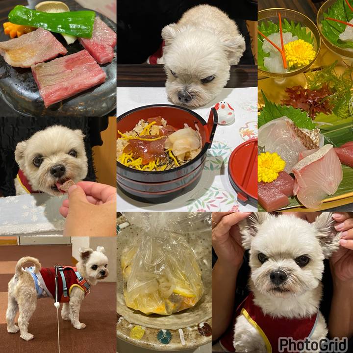 05f45447 1afa 4cc9 b2b6 1d2e42a19fdc 1699705035032