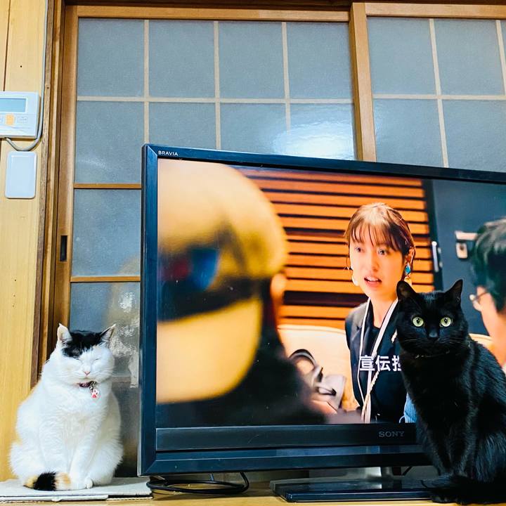 05f46661 fe43 4acb ab45 199e8ab3f84a 1739954889689