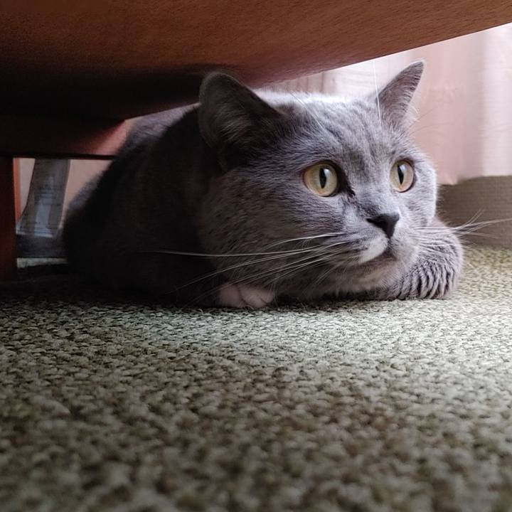 05f50121 6d97 485d a60d 2006289f843d 1648288941817