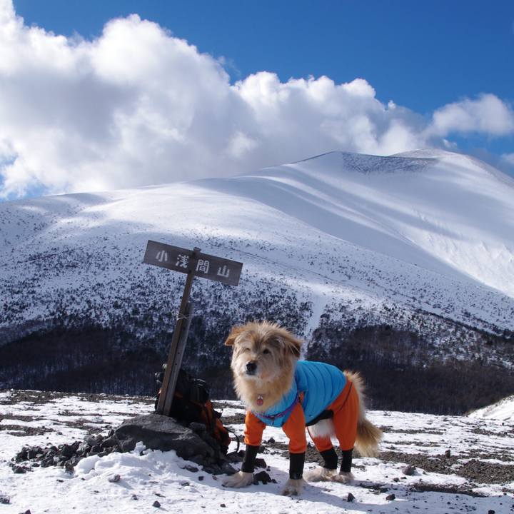 05f54308 854f 4793 9fde 0a0b81b359a0 1673245784987