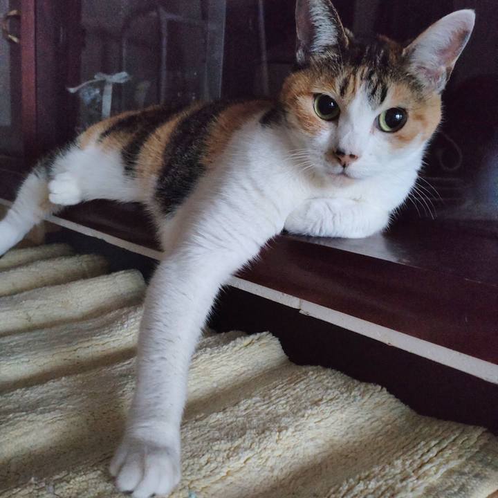 05f5643f 4ec7 421e 8497 71adc05b7c77 1666478554959