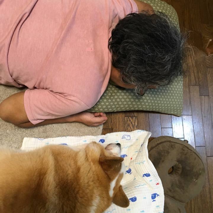 05f591d5 a12e 4132 9c43 b0eb2e5478c9 1567169496302