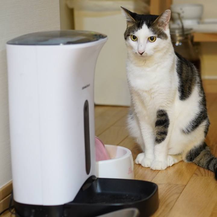 05f61dfb d8e6 4a52 911a 790cd599fdae 1569888622852