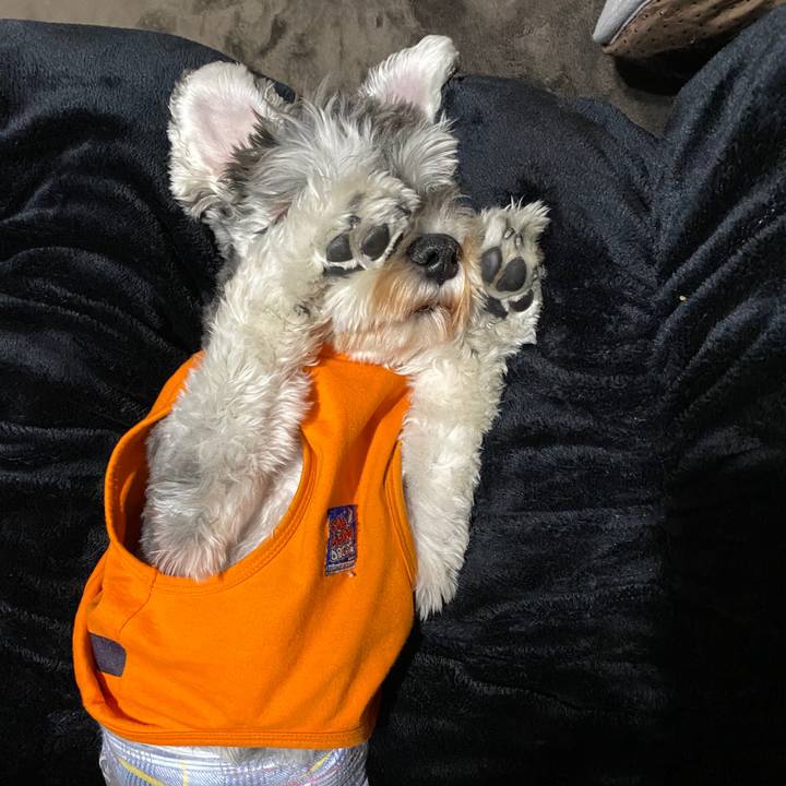 05f62702 567c 4b11 9193 e14f14c126eb 1582392144292