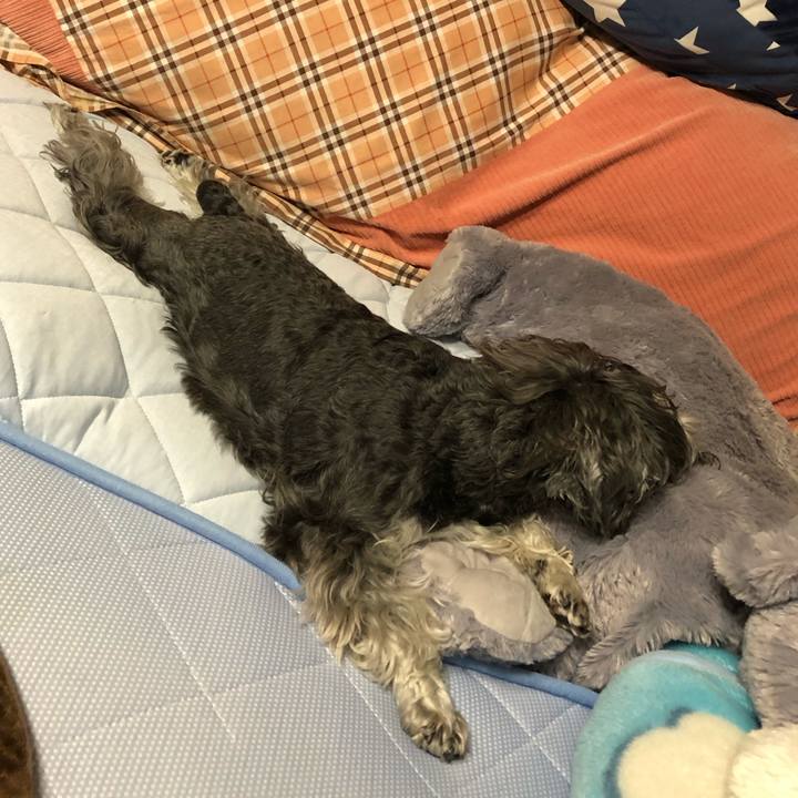 05f66232 fd4f 470d 994d cdfd44ba7511 1623590668464