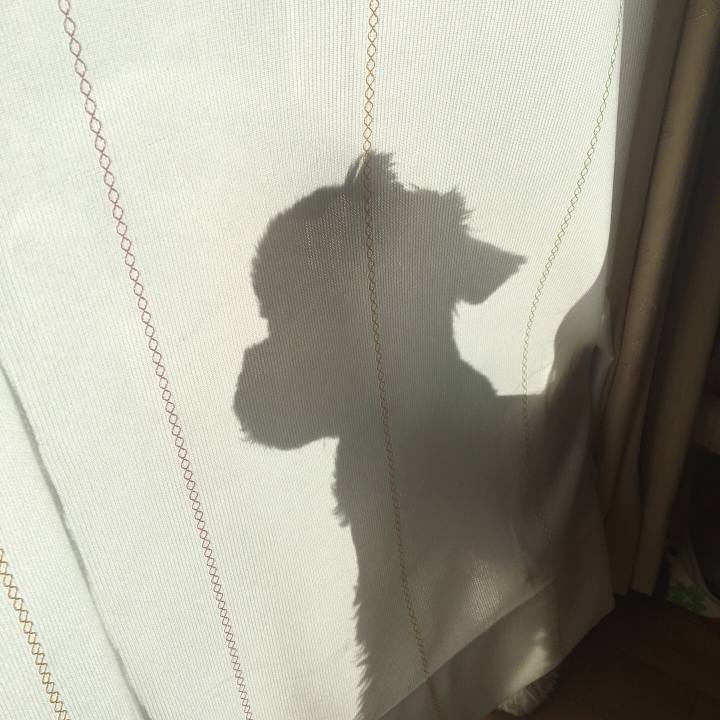 05f668cf 9824 4967 ae37 c794efd76e21 1509060571498