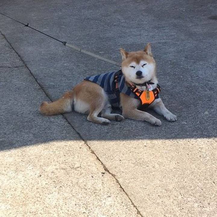 05f6735e 0b84 4265 9e4e 9635dd348057 1613192719874