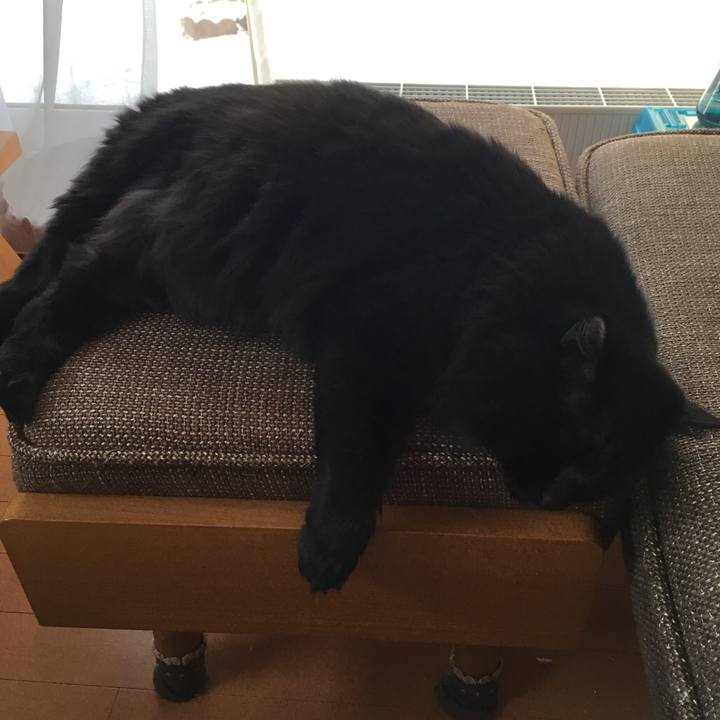 05f6952a 6df6 43e6 a440 aff995a745ab 1543534518330