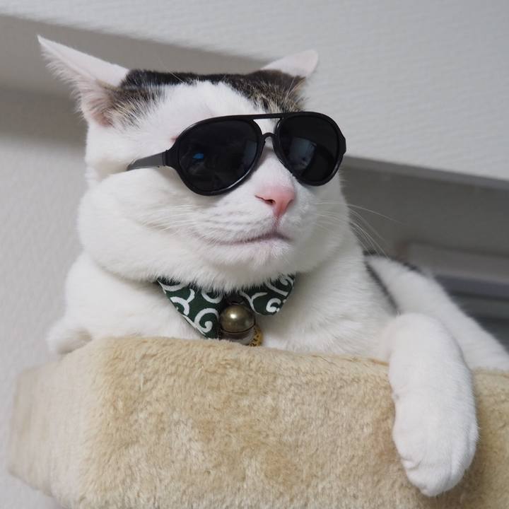 05f697cc bc1a 41f0 b230 054c0cf8d7d6 1520717547396