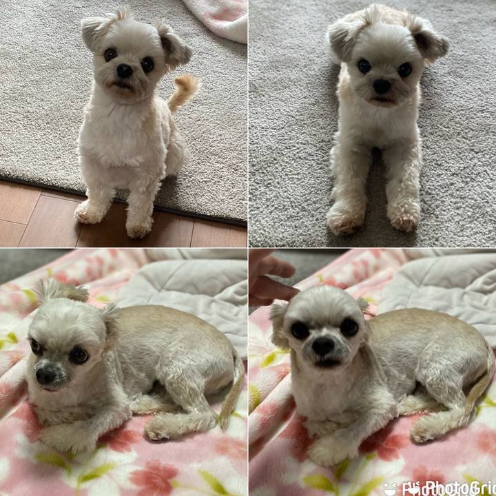 05f6b3fb 3812 4a21 a610 8e89365c283c 1671448653166