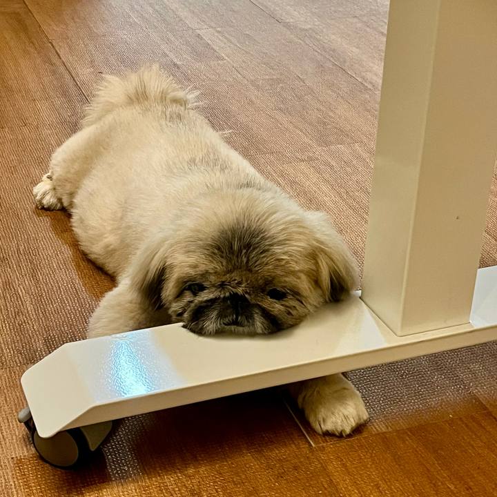 05f6ce34 cf39 49f1 913b 629d05d6c761 1770204614386