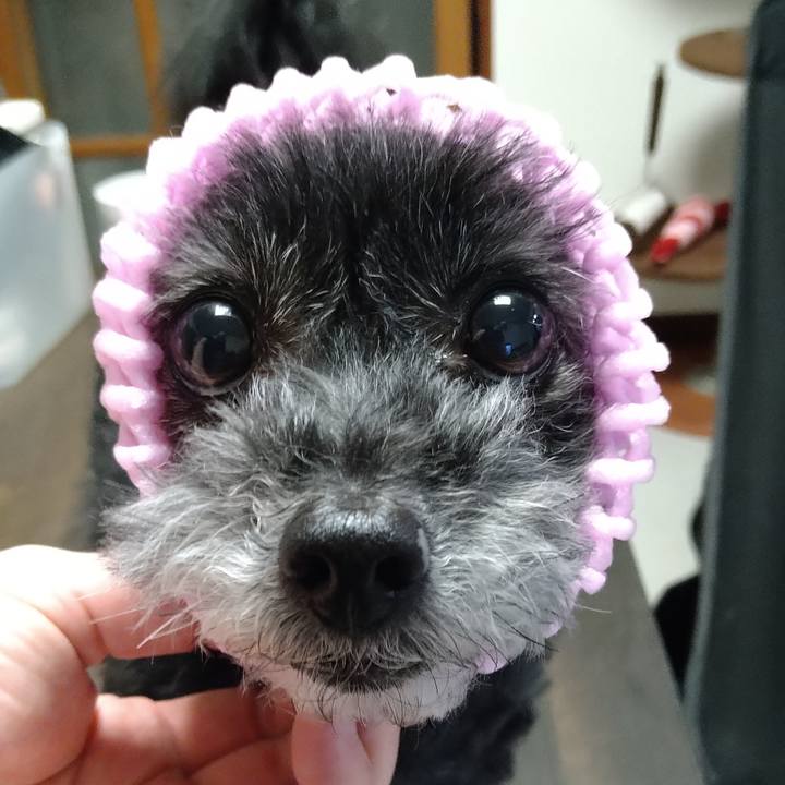 05f6cf93 99f2 4c46 bcbd b8987944e18a 1688556748698