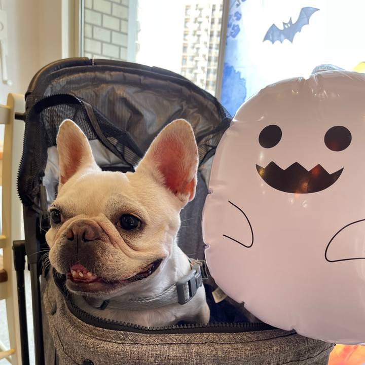 05f6d270 f6dd 42fa aad3 9ef149f7b16e 1759962204364