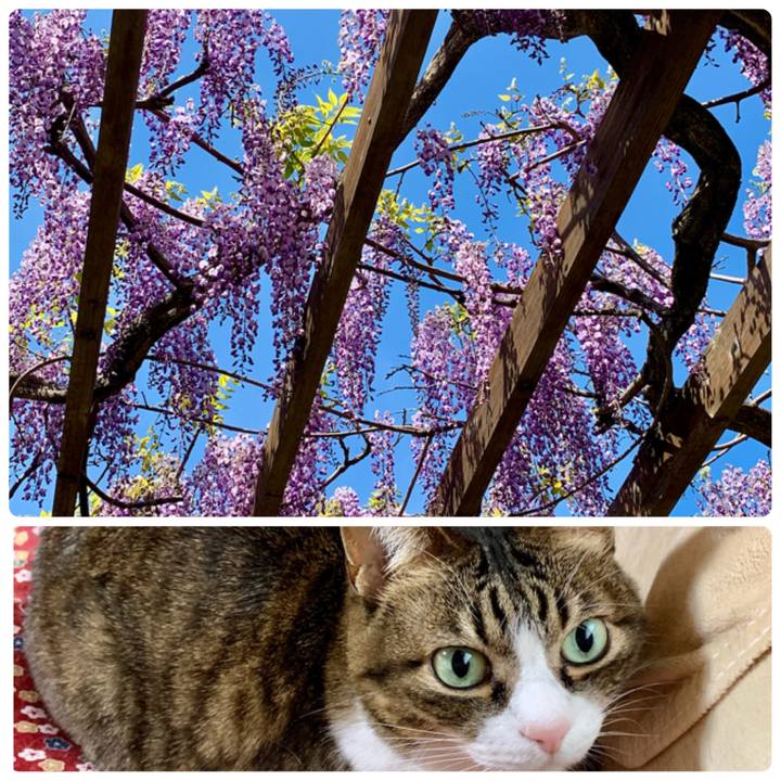 05f6d2d2 561a 4b89 838a 199e3f4c456c 1618130135456