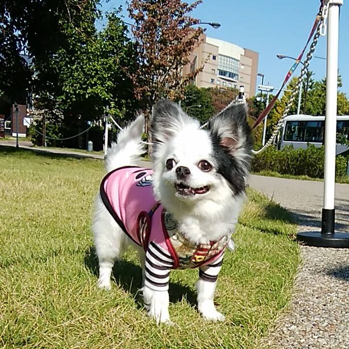 05f6fe07 66cf 4cf7 a564 a9b97af764a3 1606002594034