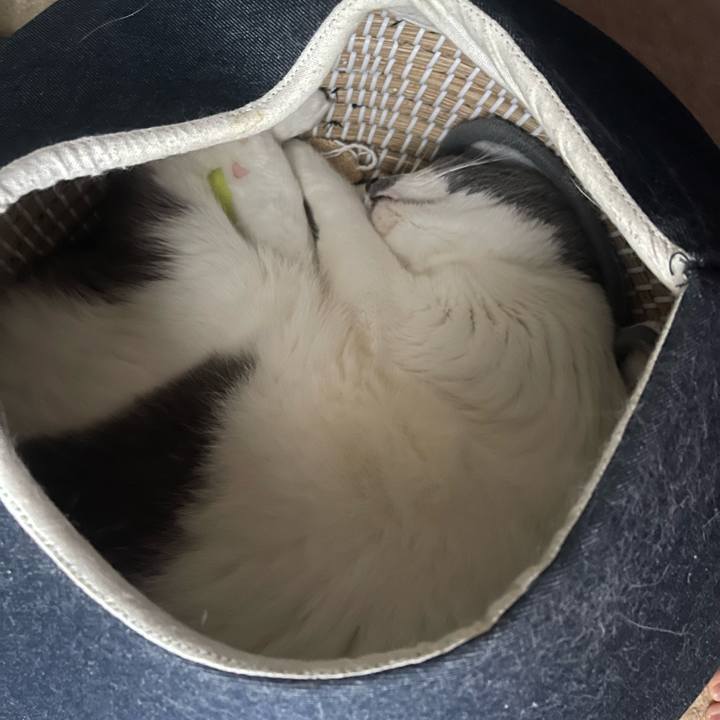 05f70660 b75e 4c6d 9a5a 468aced846f2 1752832791464