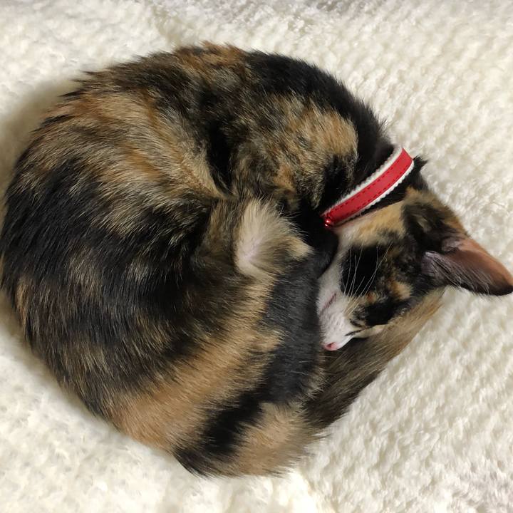 05f708ac ca4d 4f72 9174 2dae110e0008 1545564963100