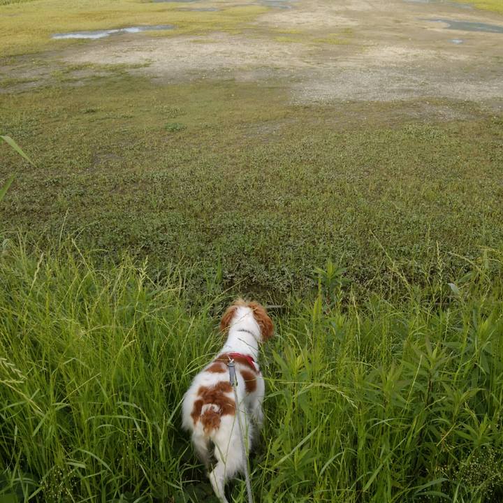 05f70c96 191e 48be 9c25 1df03b5e07dc 1526383838674