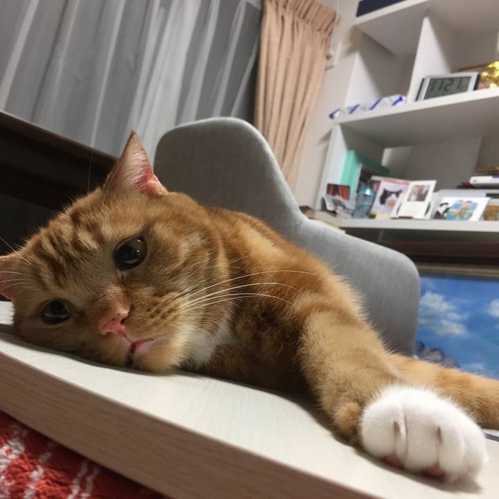 05f732e4 e4fb 4878 8396 4654adf4ebda 1585232584487