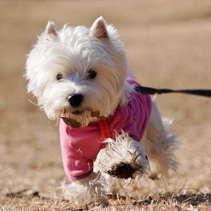 05f73678 9ca6 40d2 9bf5 7102d15f878e 1517958486529