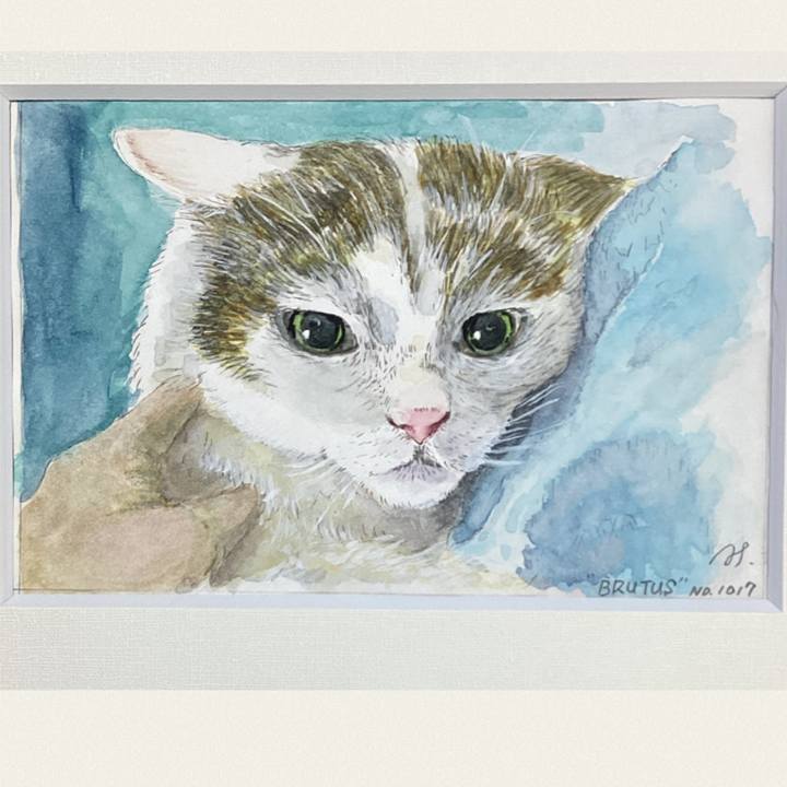 05f749a1 8244 47ce b00c 0004b8acff67 1728971798639