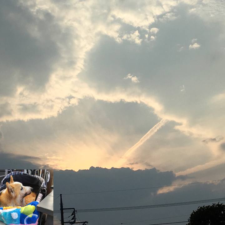 05f74d90 0d8e 4667 82dc bb68798ebc7e 1561113532102