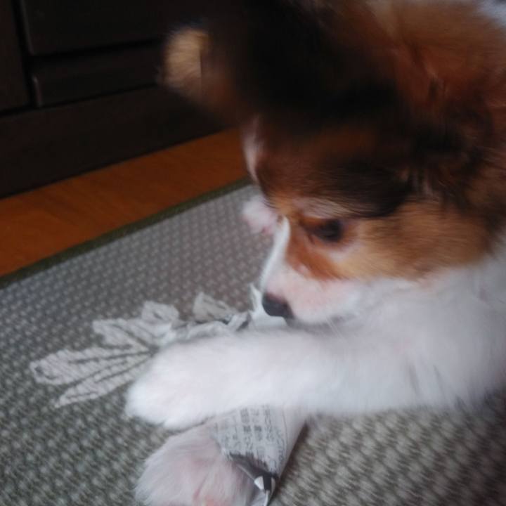 05f74efc 64a2 4102 a8b8 779914218f93 1600237102047